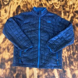 The North Face Winter Jacket Jacket